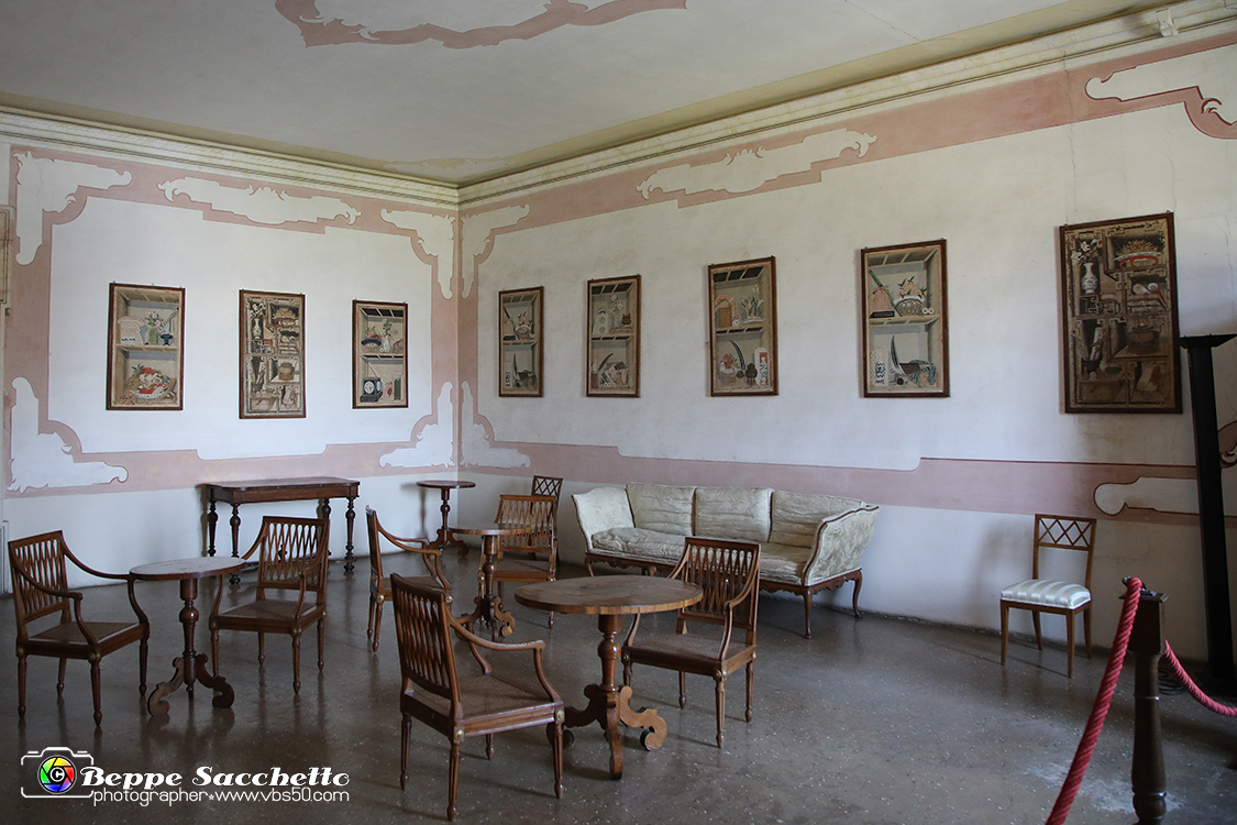 VBS_6599 - Villa Pisani - Stra (Venezia).jpg - SALA DELLA MUSICA  AI centro della sala un fortepiano, prodotto dalla manifattura Kramer Burger di Vienna. Alle pareti decorate da cornici a motivi rocaille violetti, ornati da tralci vegetali, sono disposti una serie acquerelli del '700 che riproducono fiori e piante, tratti dai repertori di erbari dell'epoca. 
